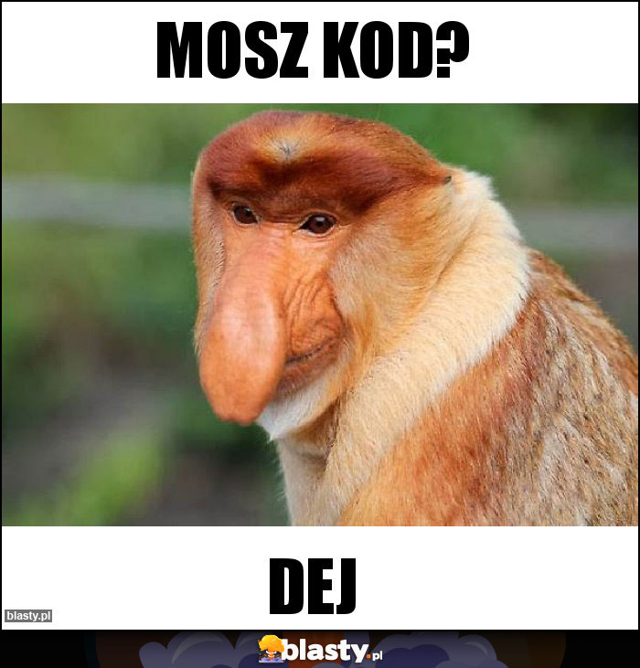 Mosz kod?