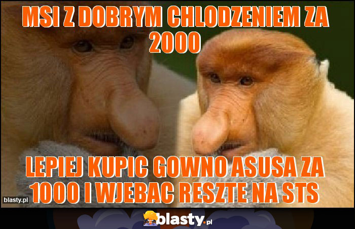 MSI Z DOBRYM CHLODZENIEM ZA 2000