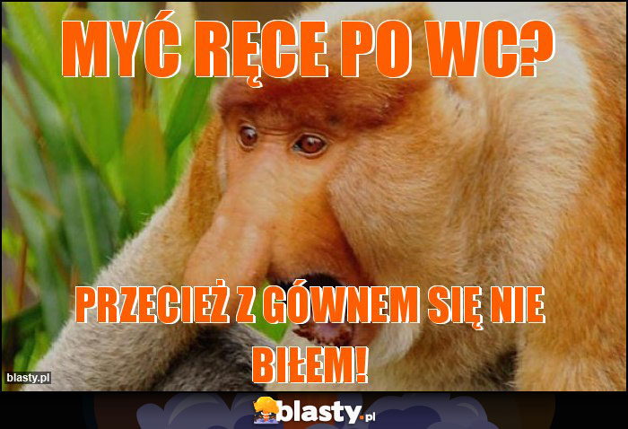 Myć ręce po WC?