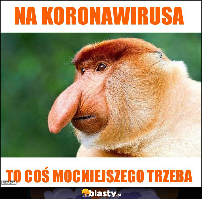 Na koronawirusa