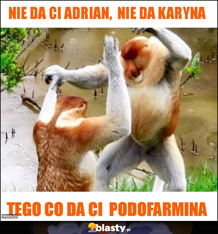 Nie da Ci Adrian,  Nie da Karyna