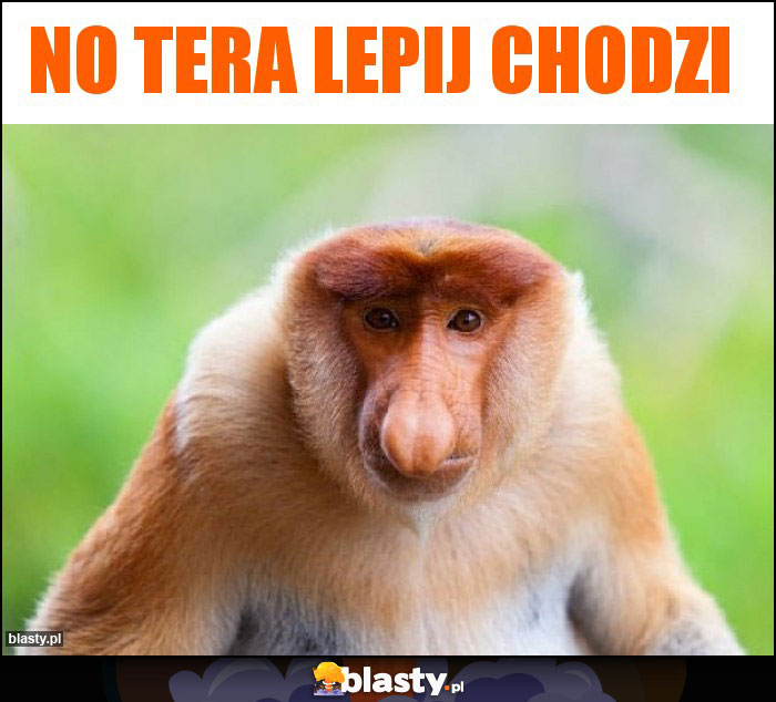 No tera lepij chodzi