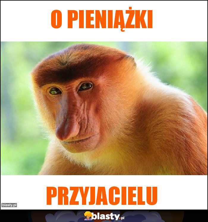 O pieniążki