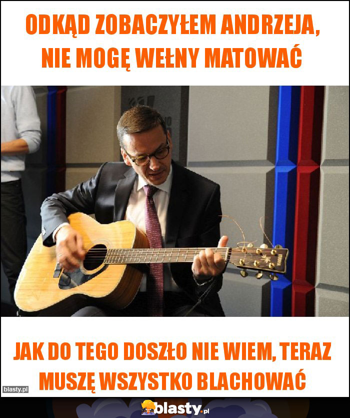 Odkąd zobaczyłem Andrzeja, nie mogę wełny matować