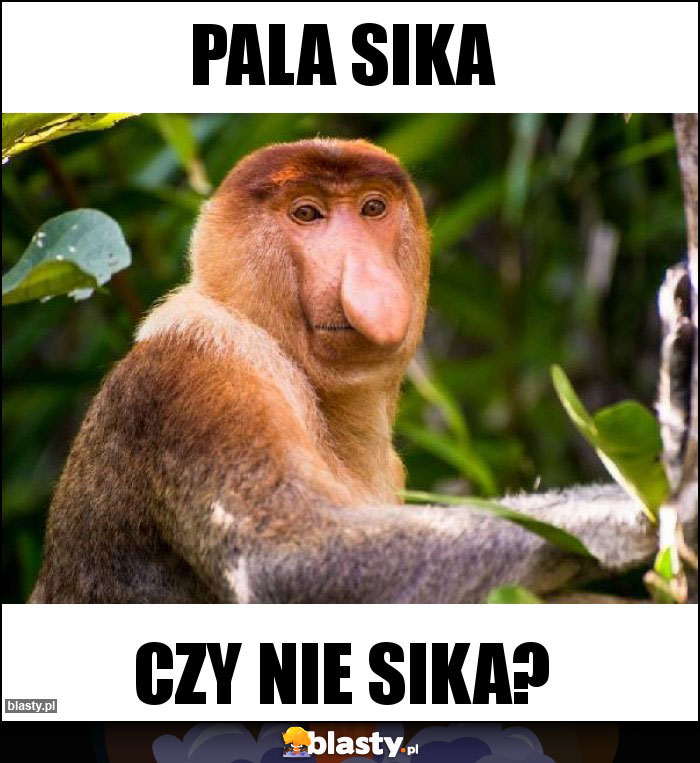 Pala sika