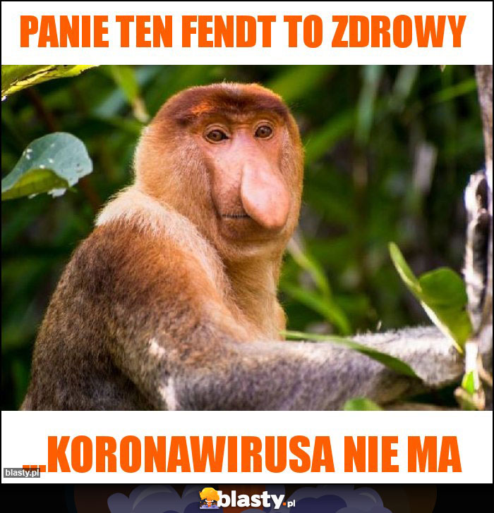 Panie ten Fendt to zdrowy