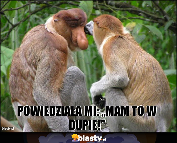 Powiedziała mi: ,,Mam to w dupie!