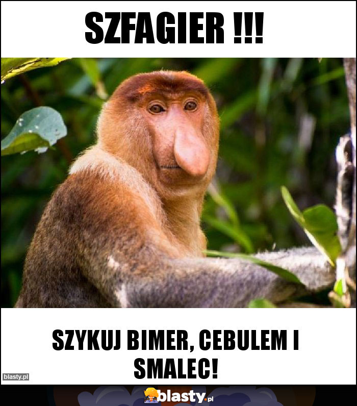 Szfagier !!!