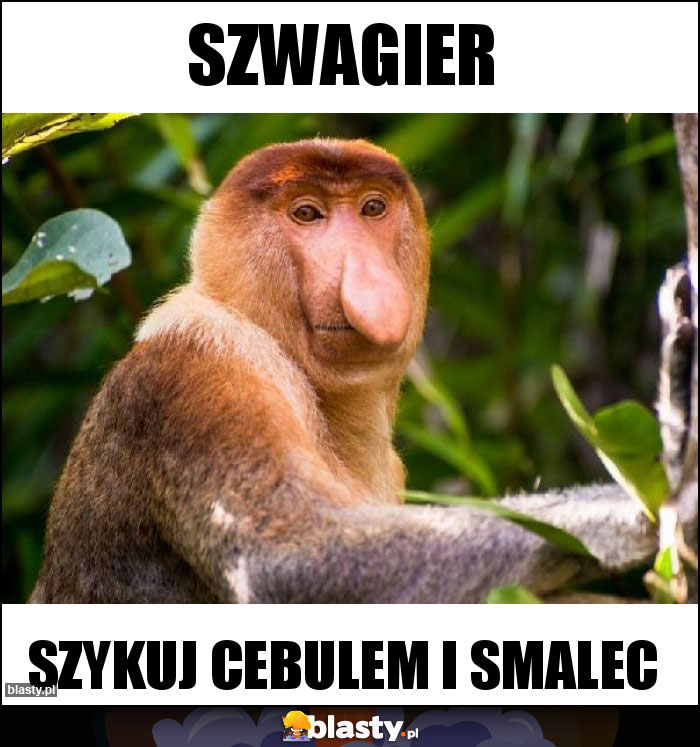 Szwagier