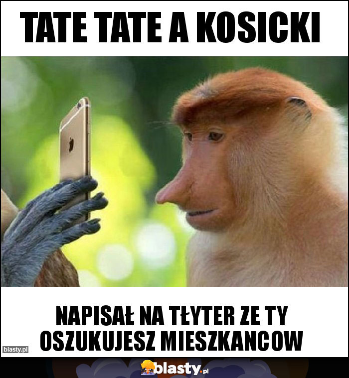 Tate tate a Kosicki