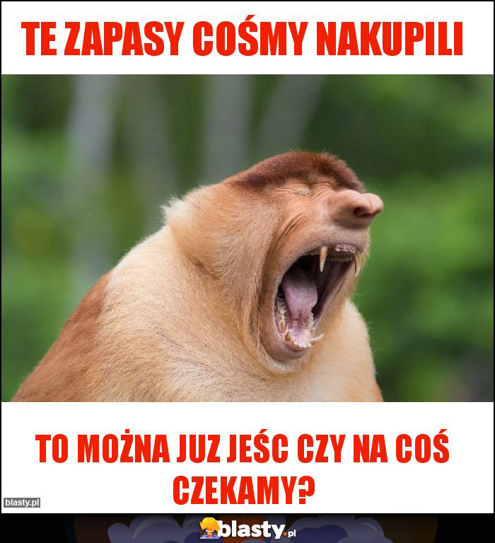 Te zapasy cośmy nakupili