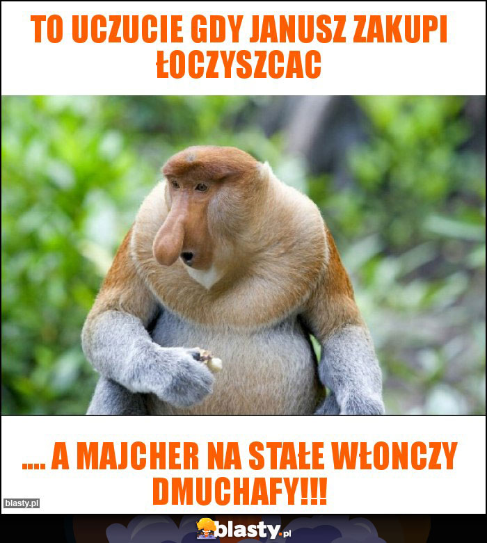 To uczucie gdy janusz zakupi łoczyszcac