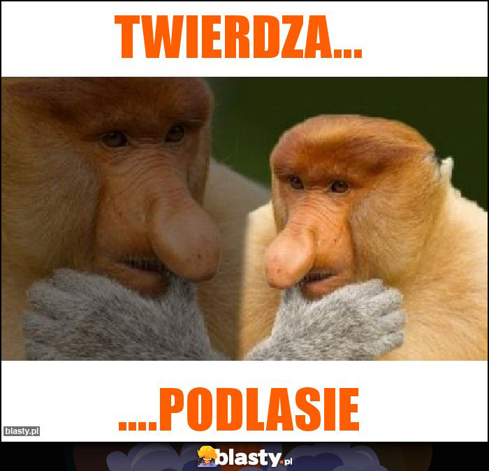 twierdza...