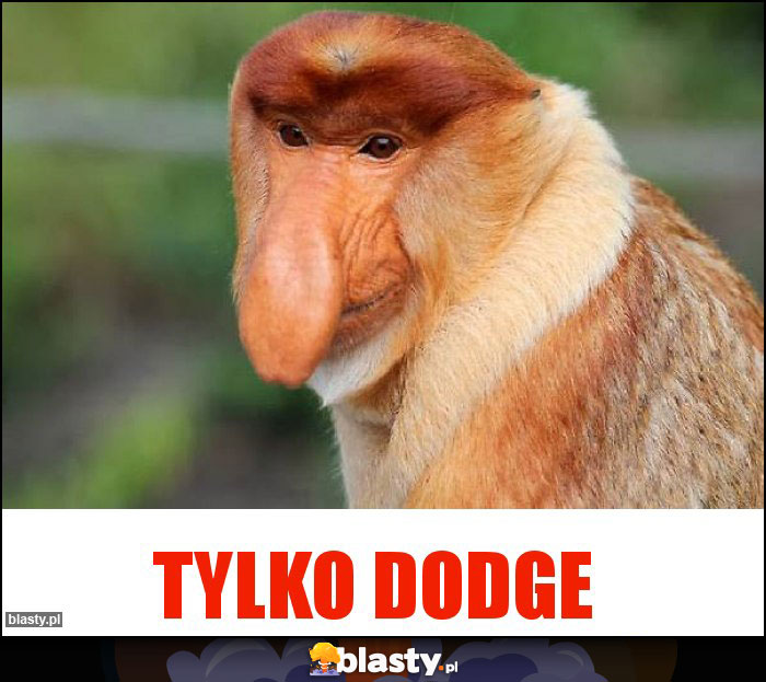 TYLKO DODGE