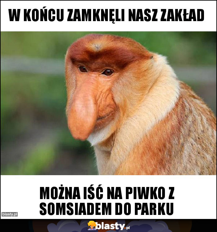 W końcu zamknęli nasz zakład