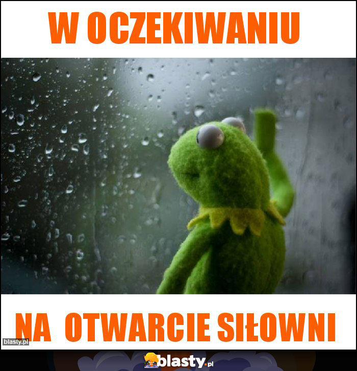 W oczekiwaniu