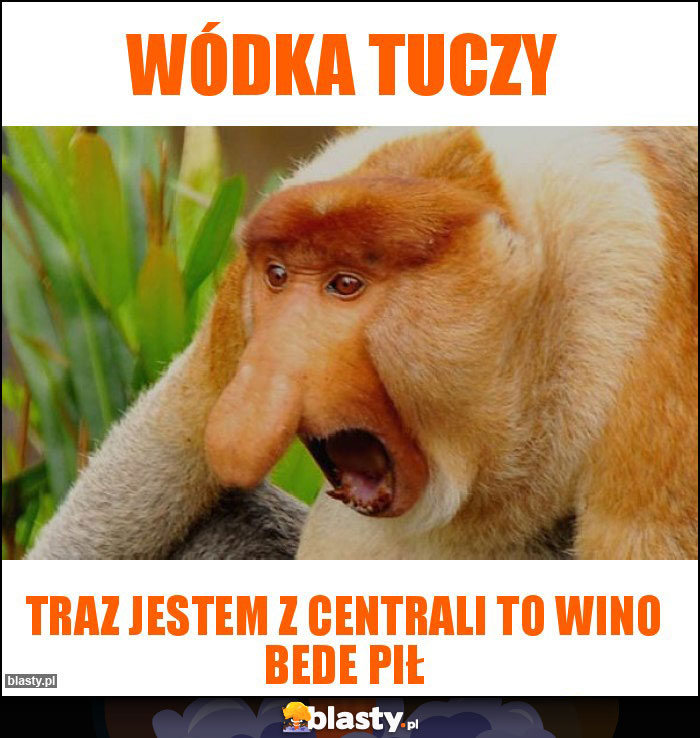 Wódka tuczy