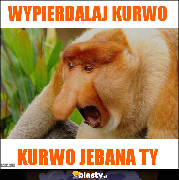 WYPIERDALAJ KURWO