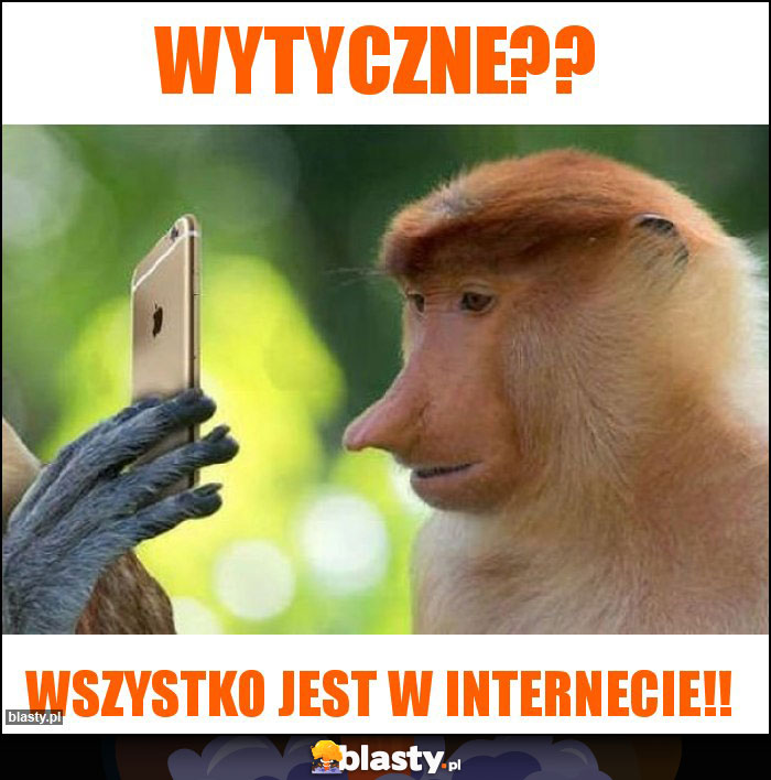 Wytyczne??