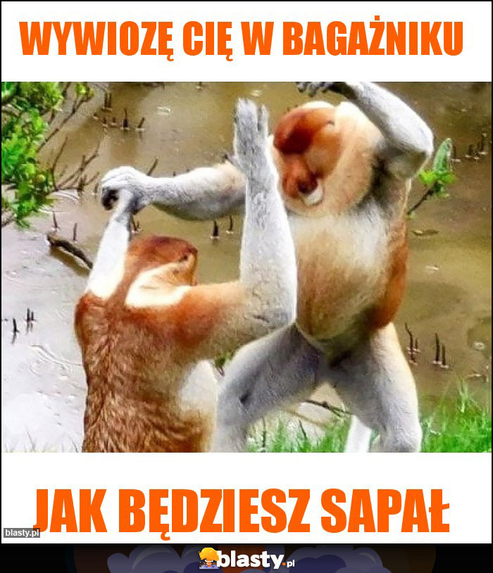 Wywiozę cię w bagażniku