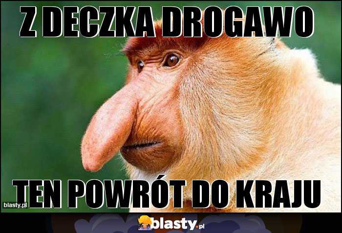 Z DECZKA DROGAWO