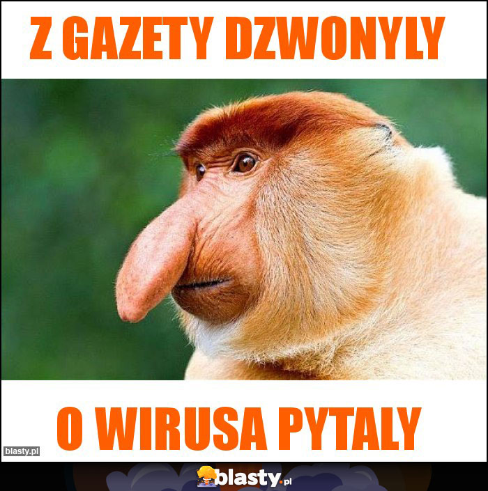 Z Gazety dzwonyly