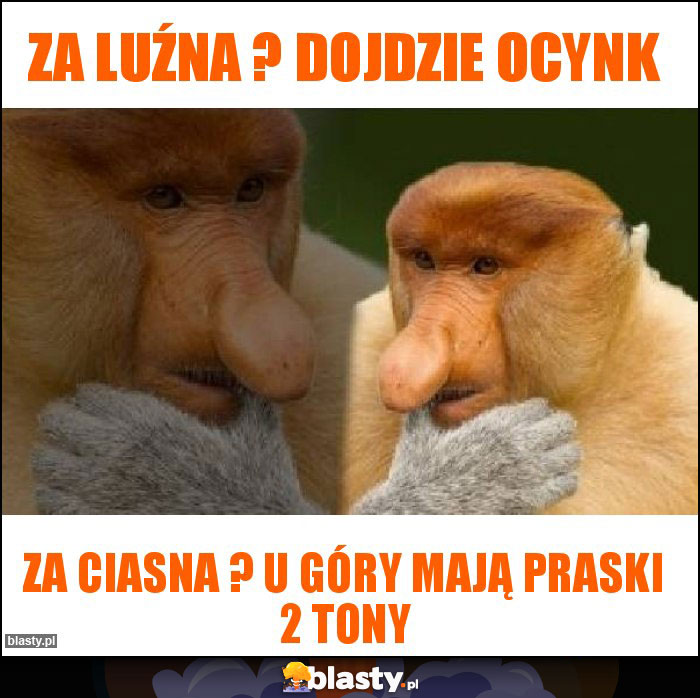 Za luźna ? Dojdzie ocynk