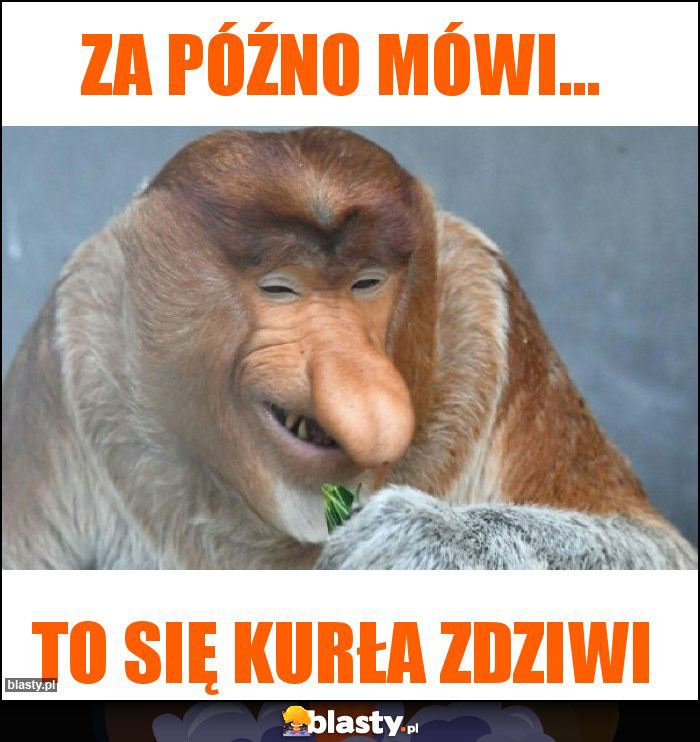 Za późno mówi...