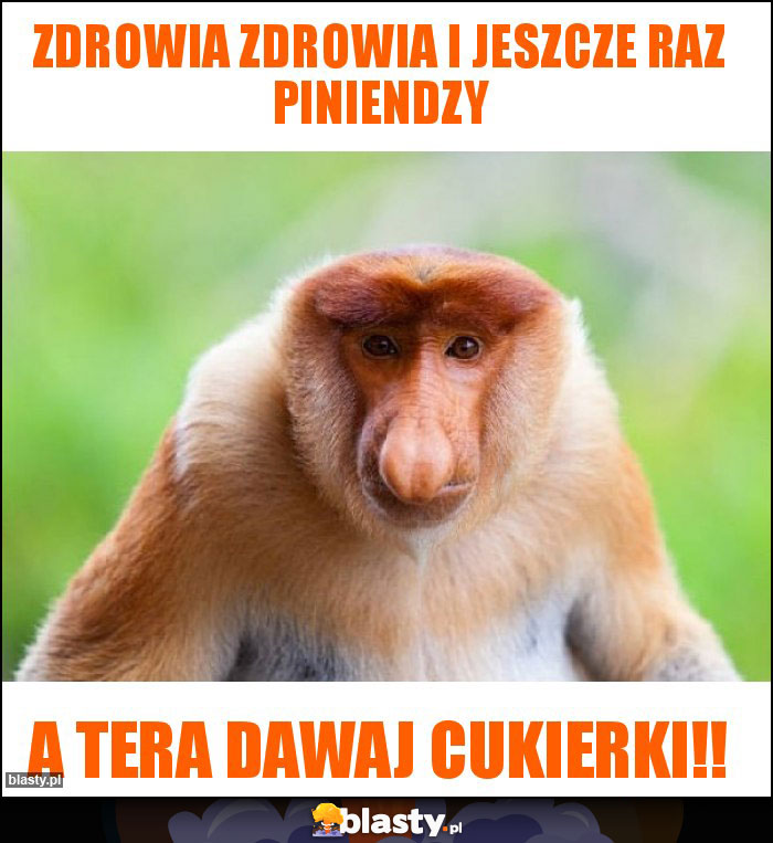 Zdrowia zdrowia i jeszcze raz piniendzy