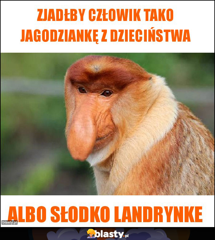 Zjadłby człowik tako jagodziankę z dzieciństwa