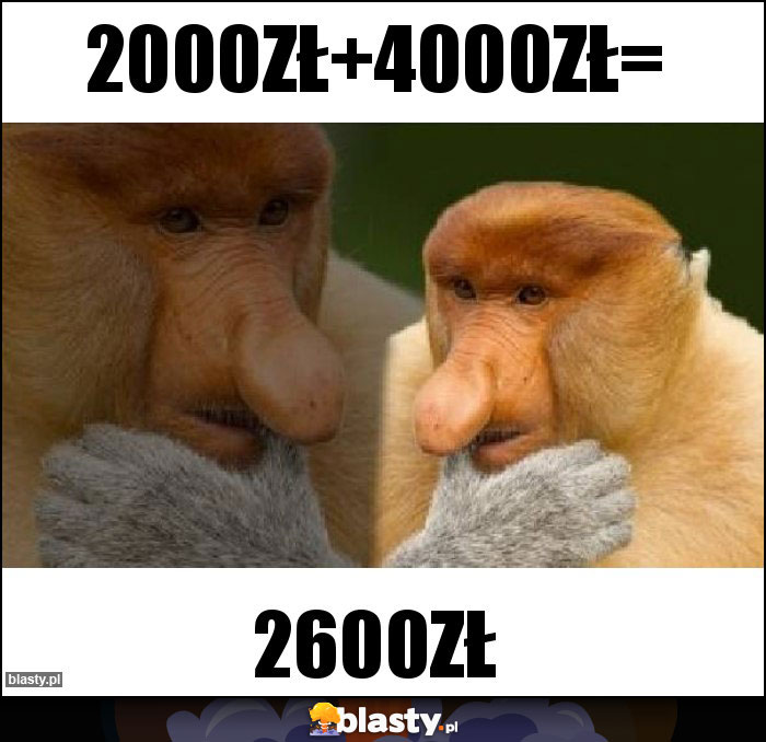 2000zł+4000zł=