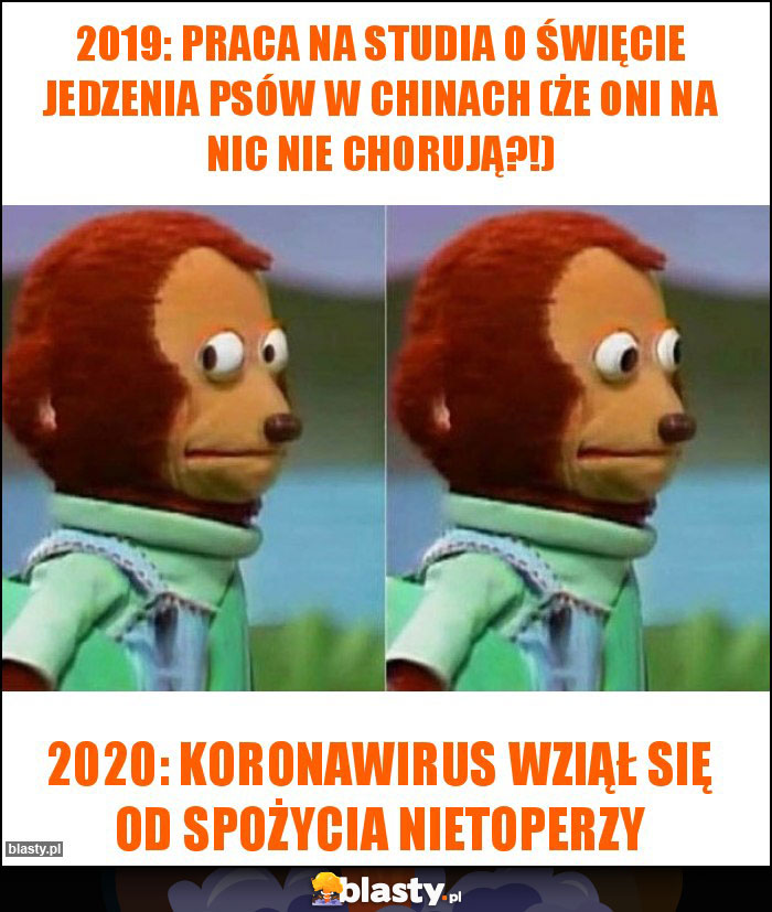 2019: praca na studia o święcie jedzenia psów w Chinach (że oni na nic nie chorują?!)