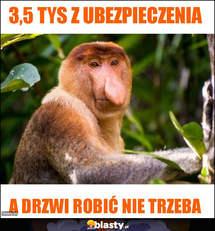 3,5 tys z ubezpieczenia