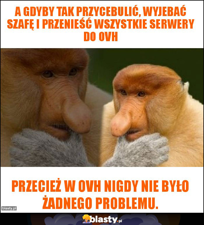 A gdyby tak przycebulić, wyjebać szafę i przenieść wszystkie serwery do OVH