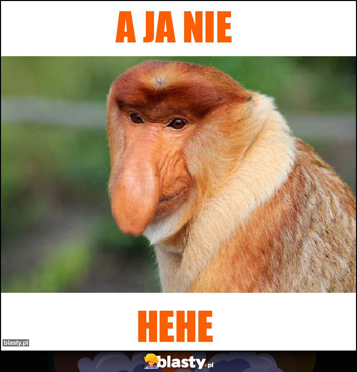 A ja NIE