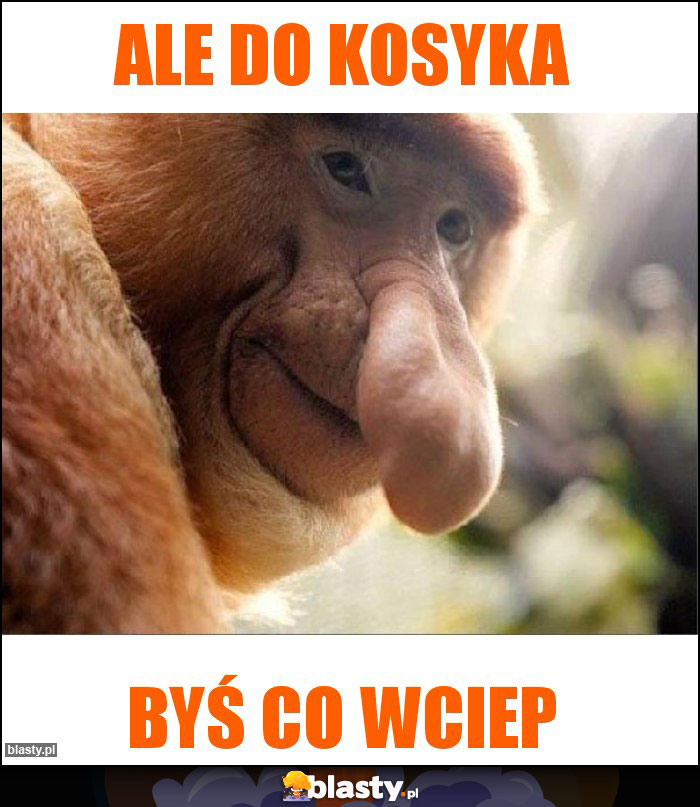 Ale do kosyka