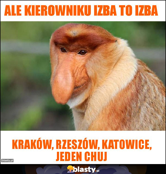 Ale Kierowniku izba to izba