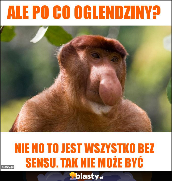 Ale po co oglendziny?