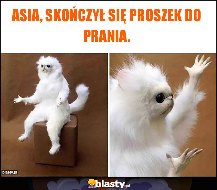 Asia, skończył się proszek do prania.