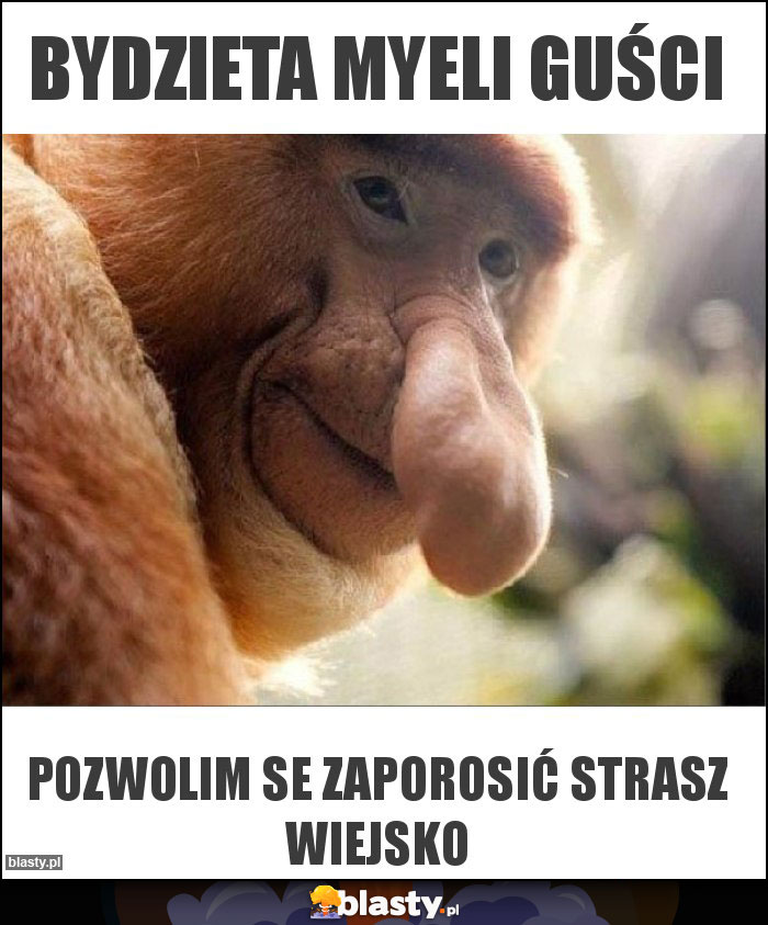 Bydzieta myeli guści