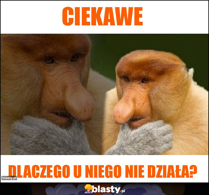 Ciekawe