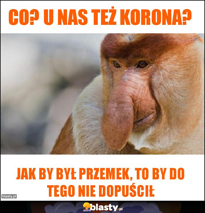 Co? U nas też korona?