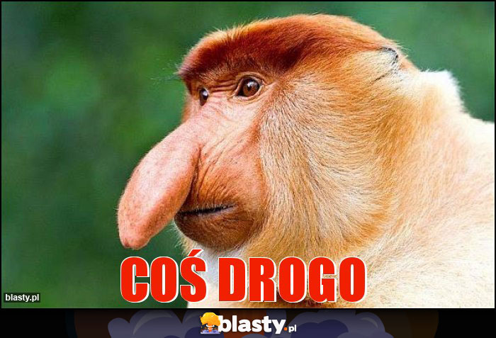 COŚ DROGO