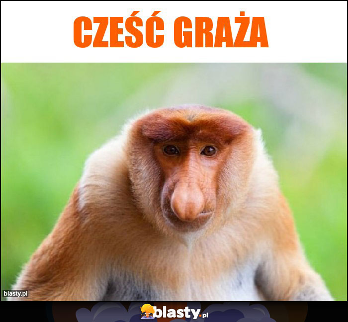 Cześć graża