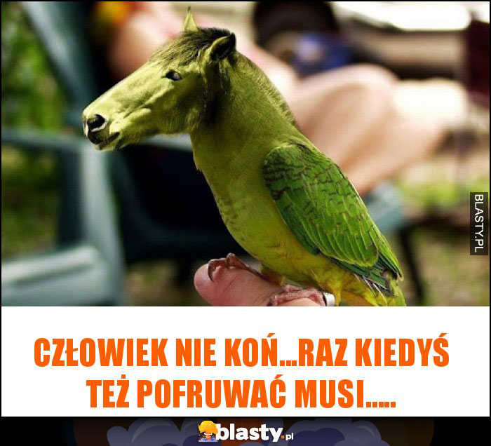 człowiek nie koń...raz kiedyś też pofruwać musi.....