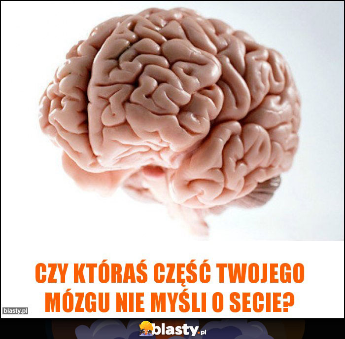 Czy któraś część Twojego mózgu nie myśli o secie?