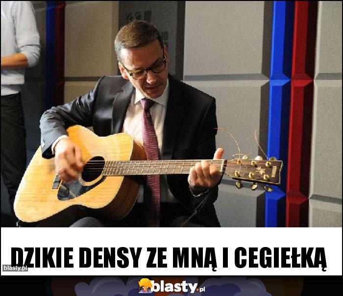 Dzikie densy ze mną i Cegiełką