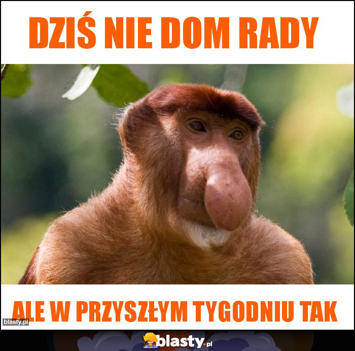 Dziś nie dom rady