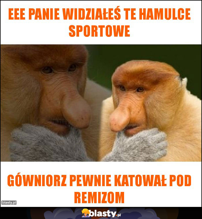 EEe panie widziałeś te hamulce sportowe