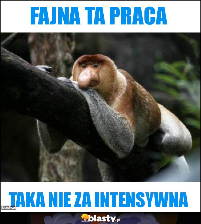 Fajna ta praca